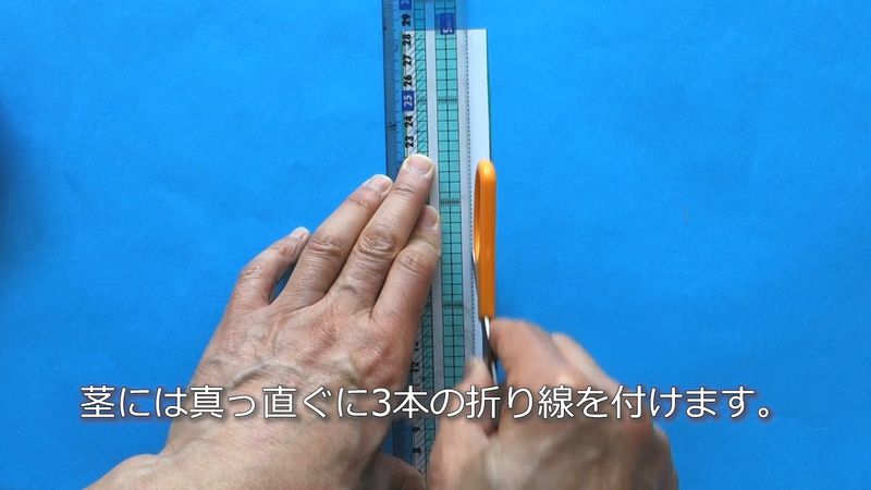 チューリップ02