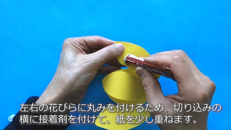 チューリップ03