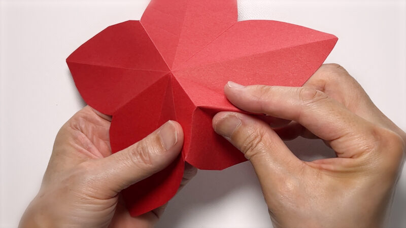 季節の壁面飾り 12月-ポインセチア