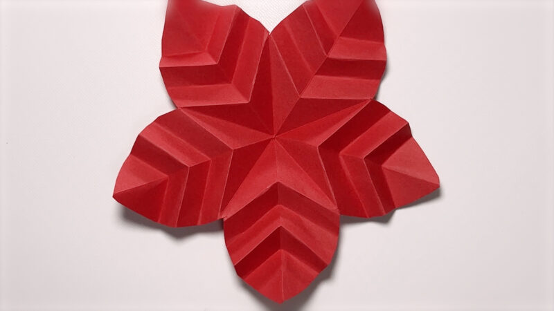 季節の壁面飾り 12月-ポインセチア