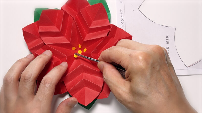 季節の壁面飾り 12月-ポインセチア