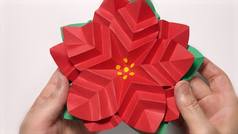 季節の壁面飾り 12月-ポインセチア